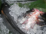 特(tè)色海鲜(xiān)